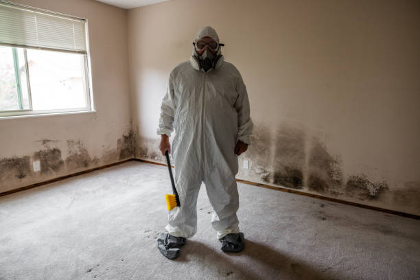 Best Forensic Mold Investigation  in Eagle Mountain, UT